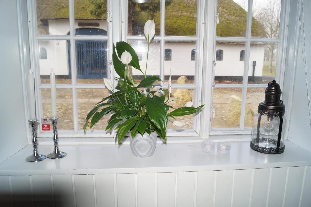 Eleonoras Bed & Breakfast Esbjerg Dış mekan fotoğraf
